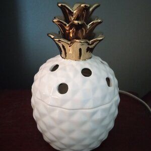 Pink Zebra 🦓 Wax Warmer